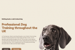 Google Ad Conversion - The Dog Guy